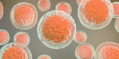 Cord Blood Cells